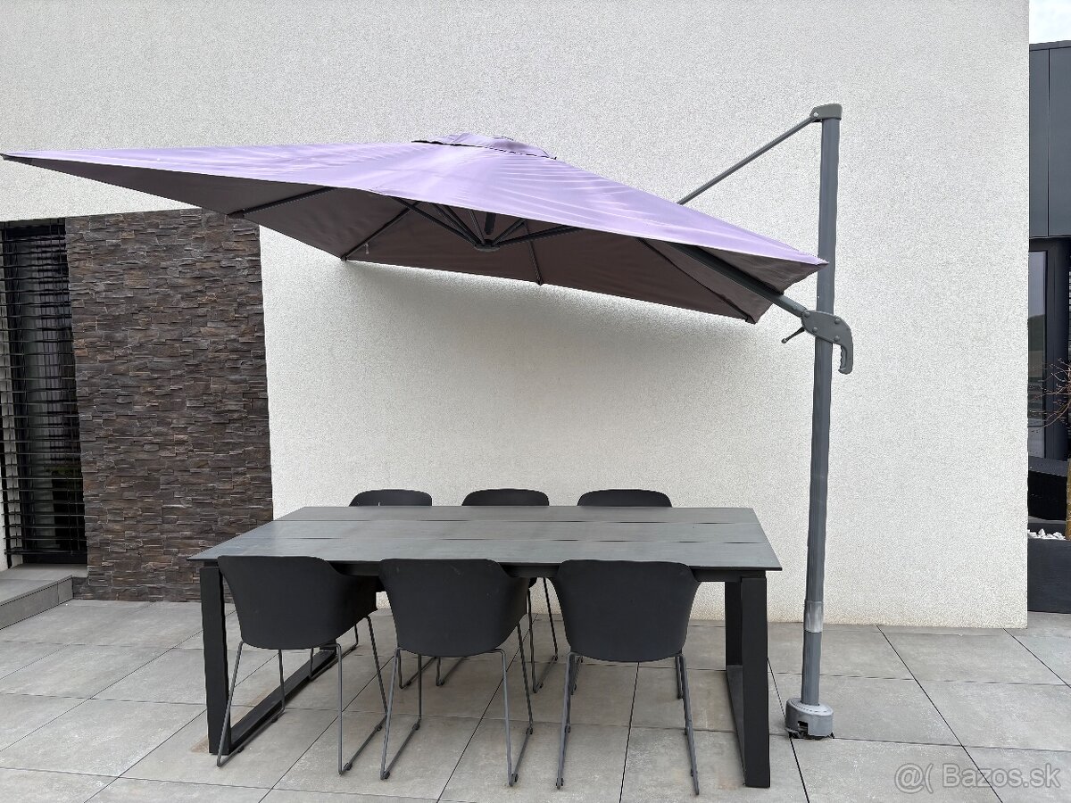 Slnecnik na terasu - 4