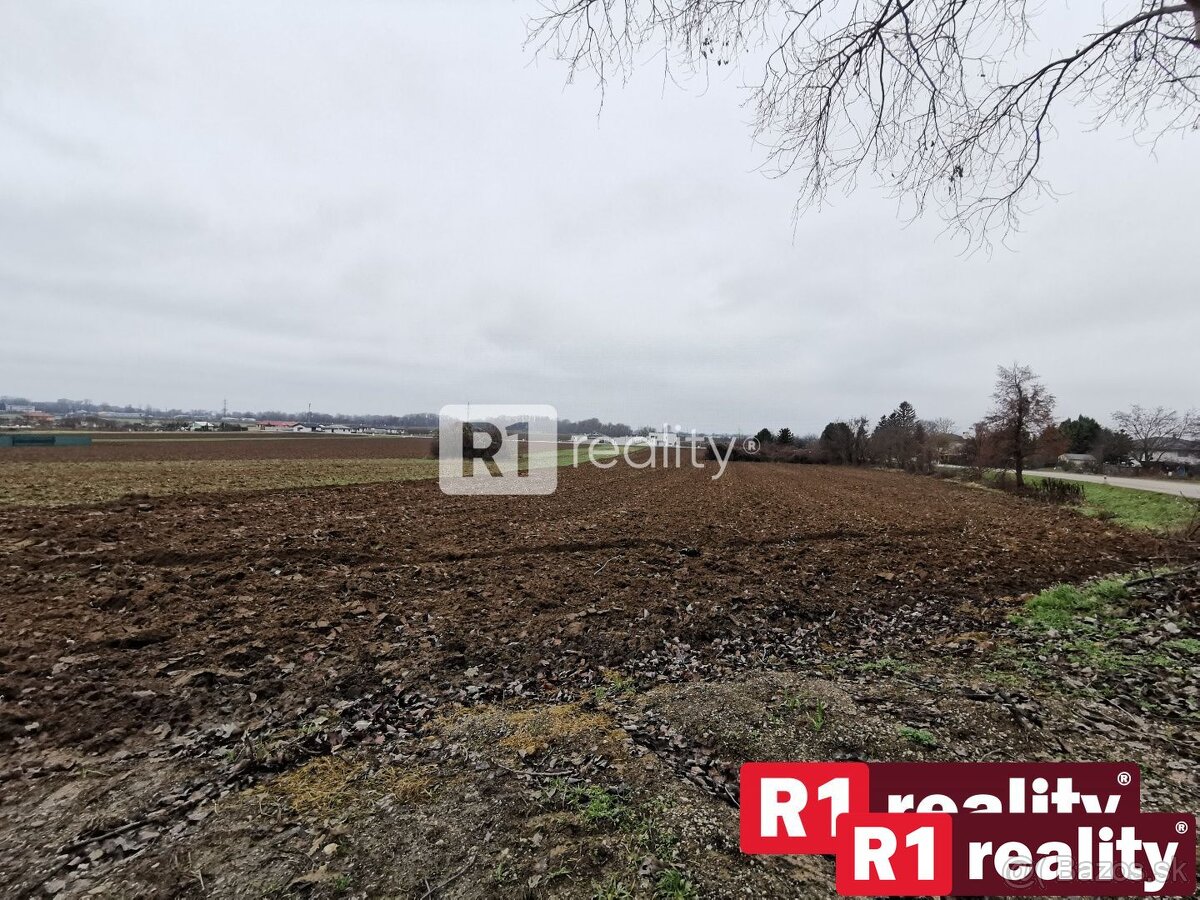 INVESTIČNÝ POZEMOK S VEĽKÝM POTENCIÁLOM / 6343 m2 / Nové Sok - 4