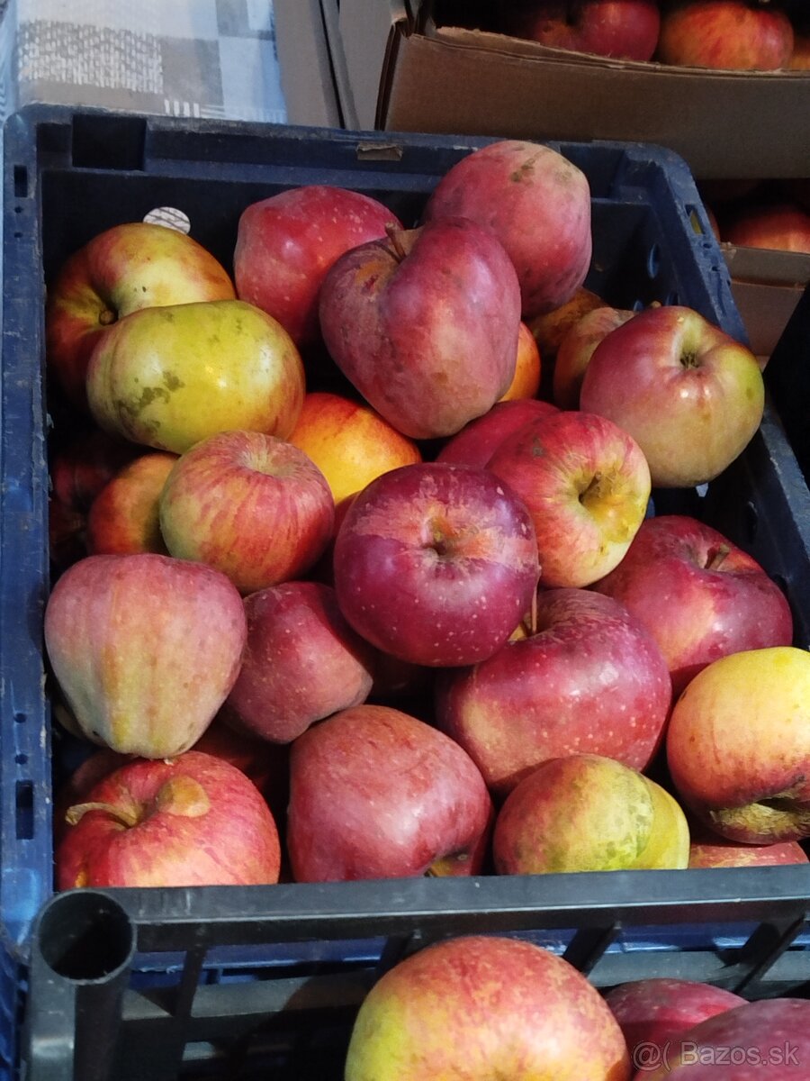 Oberané jablká - 4