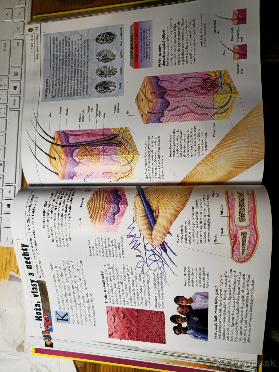 Kniha encyklopédia - 4