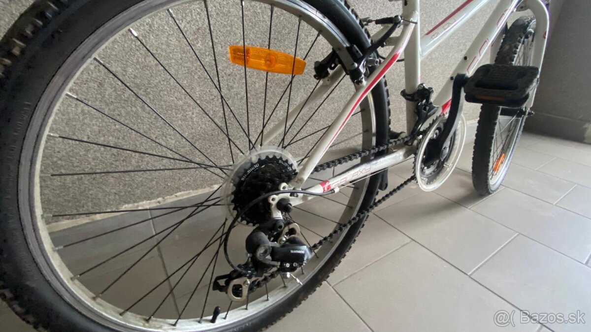 Bicykel Galaxy Ruby - 4