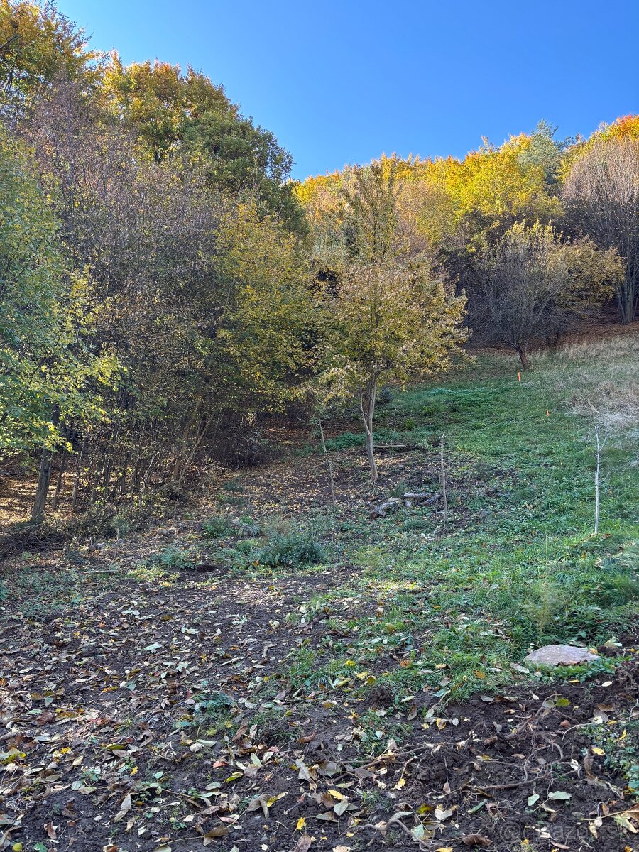 Na PREDAJ rodinný dom v obci Ihráč s krásnym pozemkom - 4