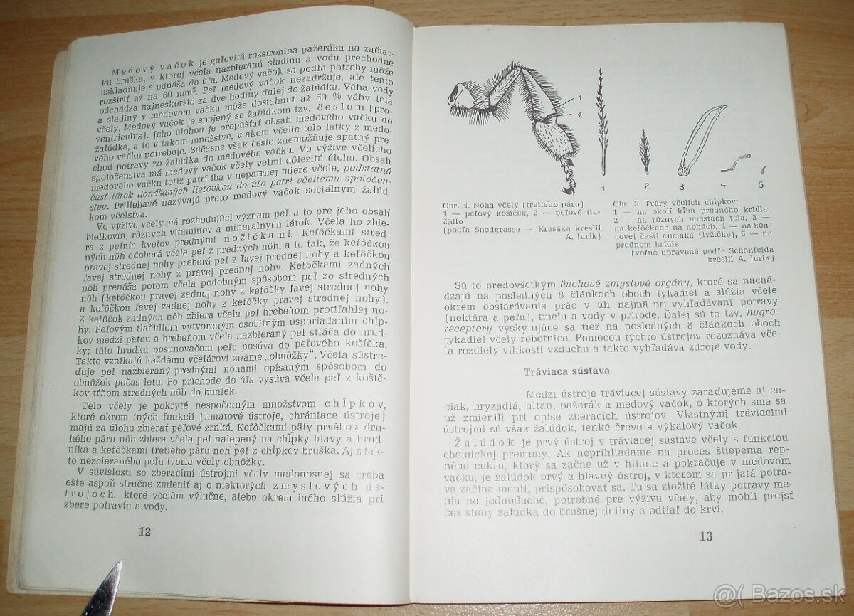 Výživa a kŕmenie včelstiev - 4