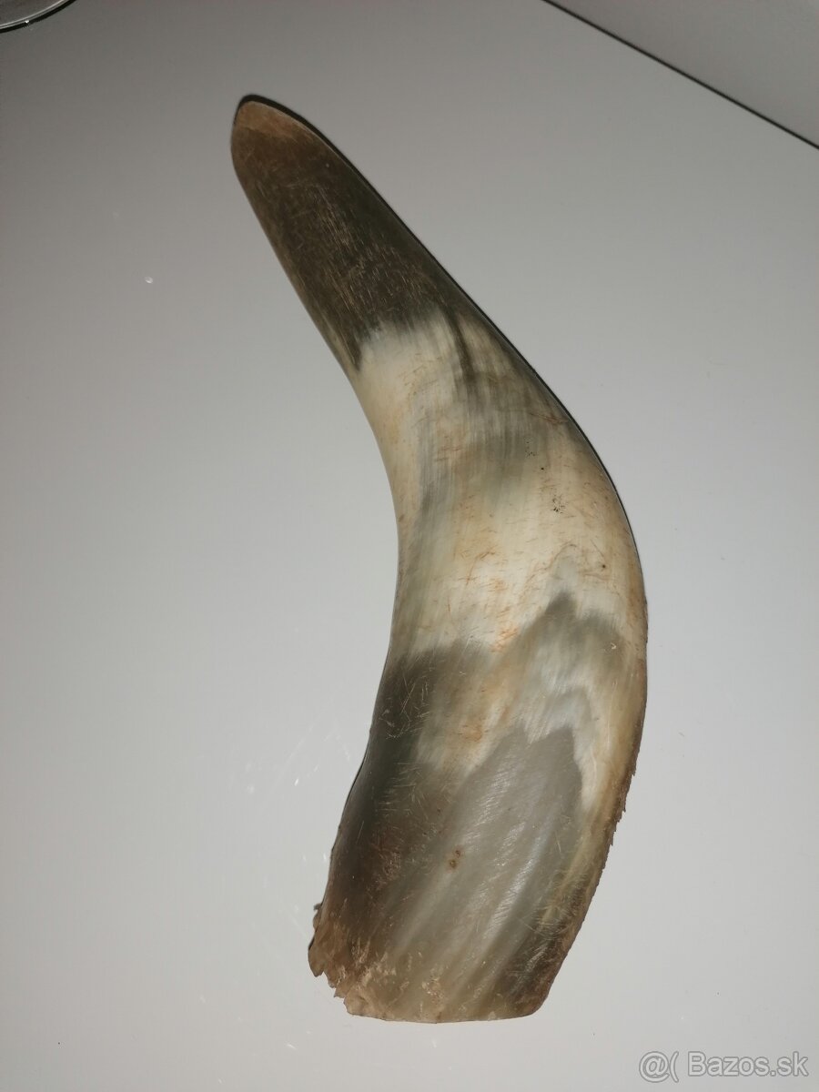 Kravský roh - 4