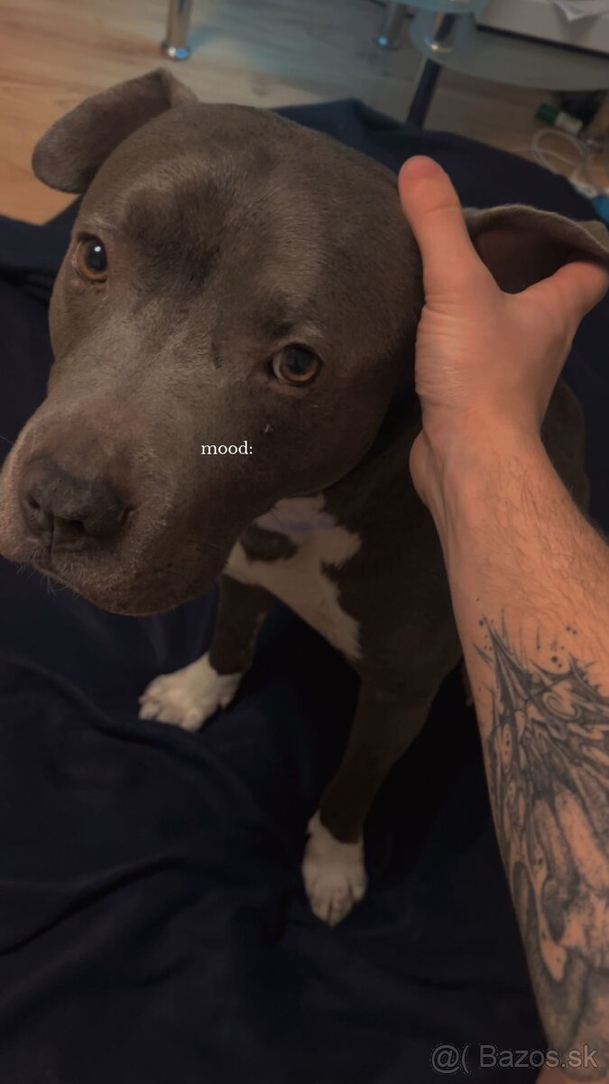 Posuniem do dobrých rúk staforda - 4