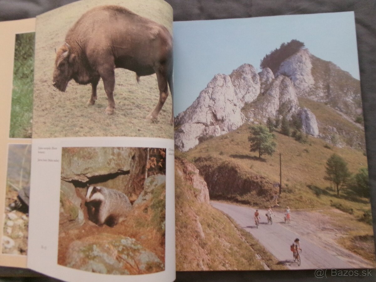 Zlatá kniha Slovenska. - 4