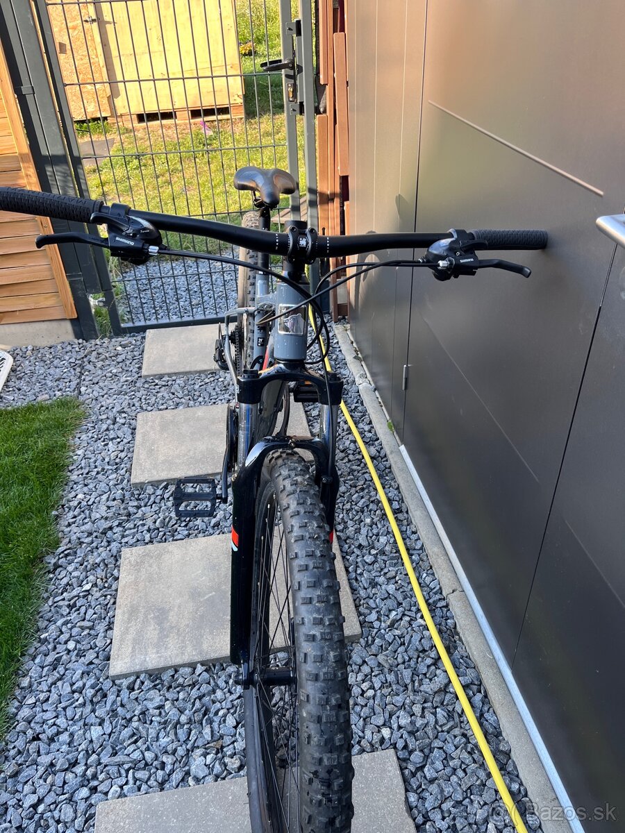 Martin Bolinas Ridge1 M 29” - 4