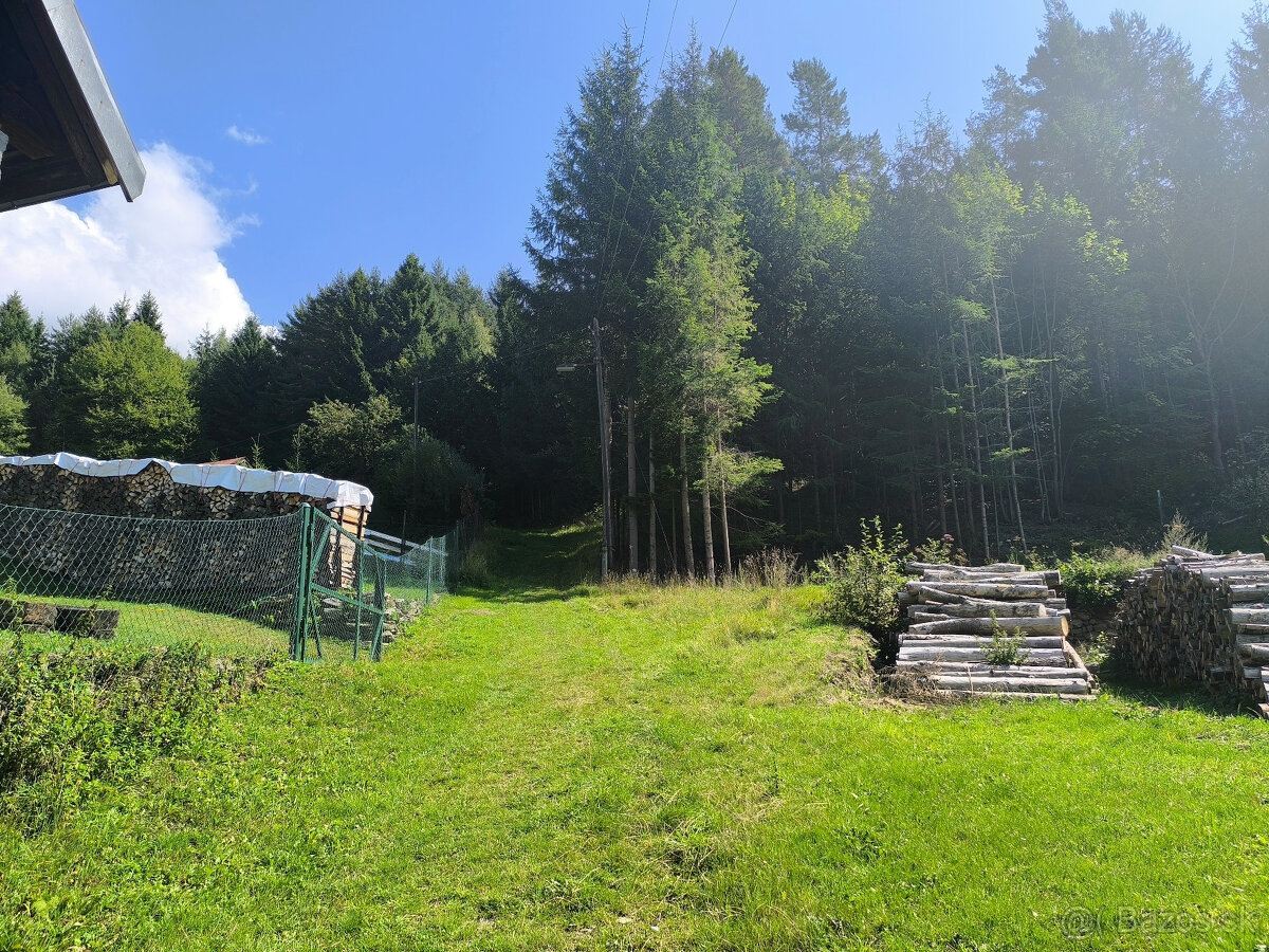 NÁDHERNÁ DREVENICA NOVÁ STRECHA, NOVÁ ELEKTRINA, STUDŇA, SO - 4