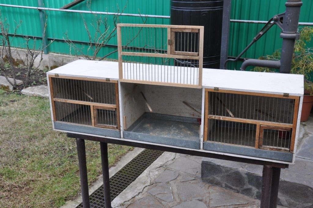 klietky pre vtákov - 4