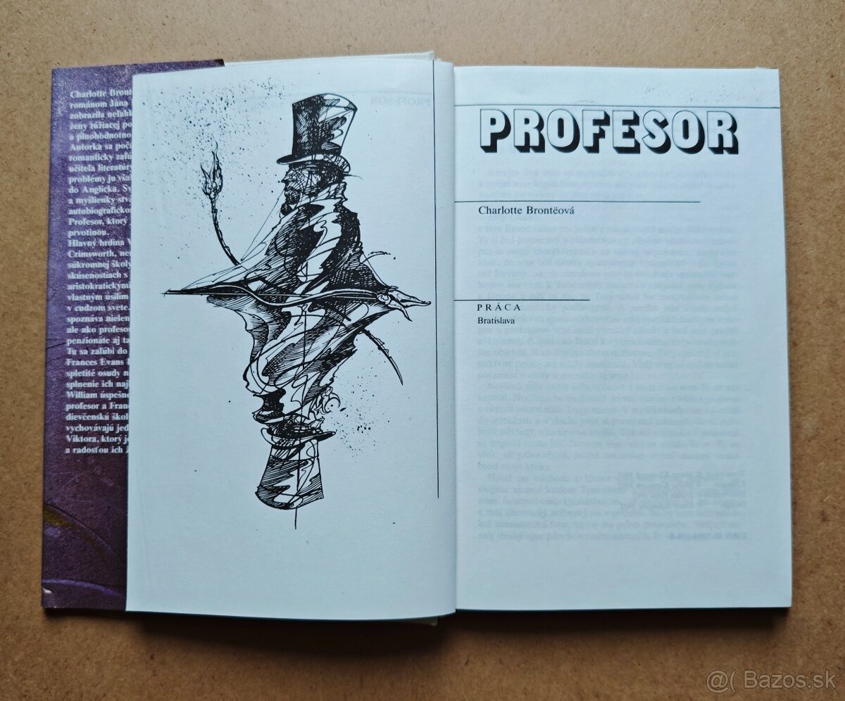 Charlotte Brontëová: PROFESOR - 4