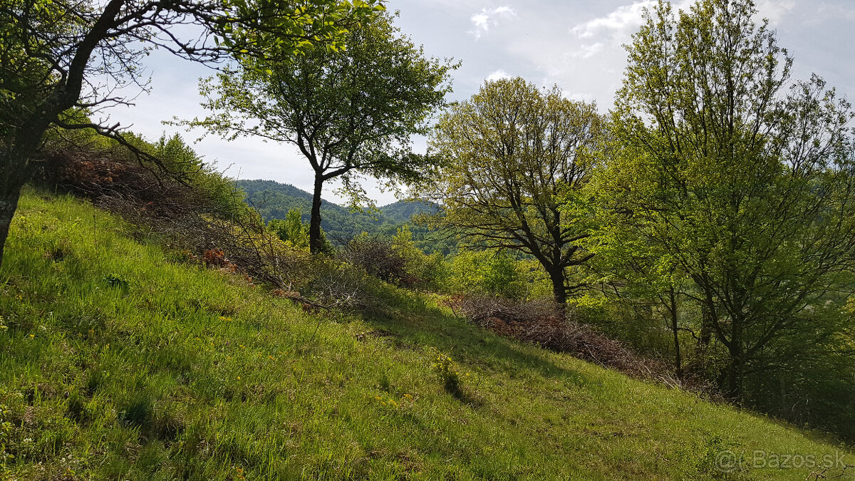 Predám pozemok vo Vyhniach + stavebné povolenie na chatu. - 4