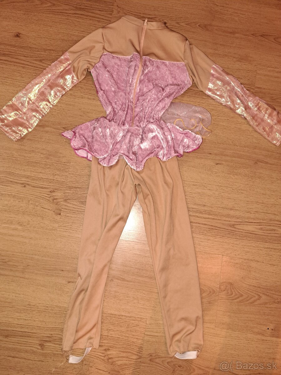 Karnevalové kostýmy - 4