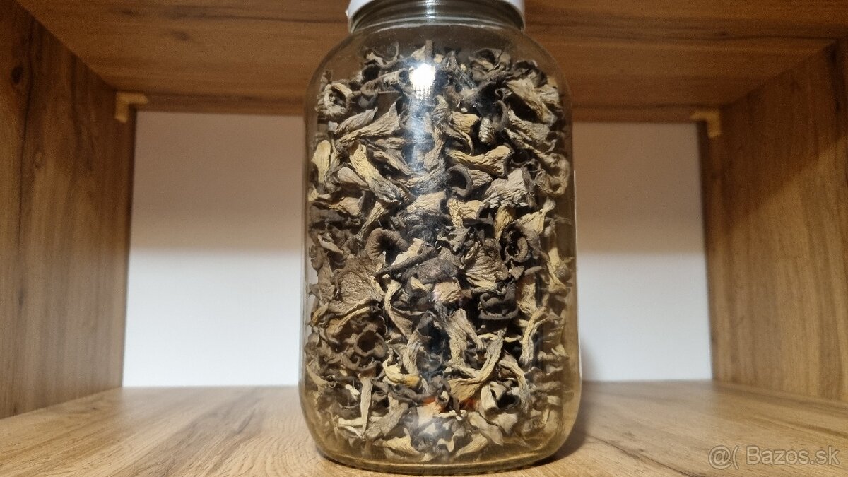 Sušené hríby/huby - 4