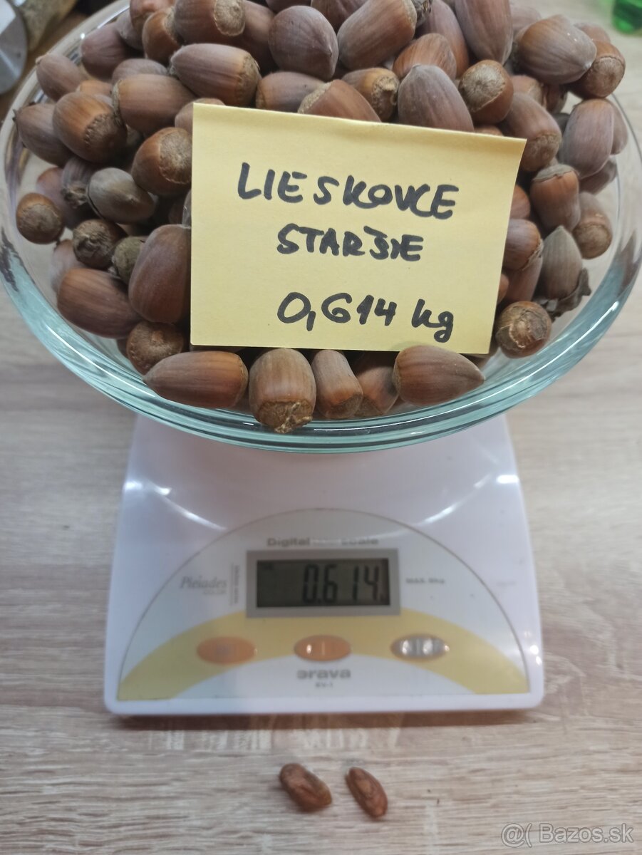 Lieskove orechy - 4