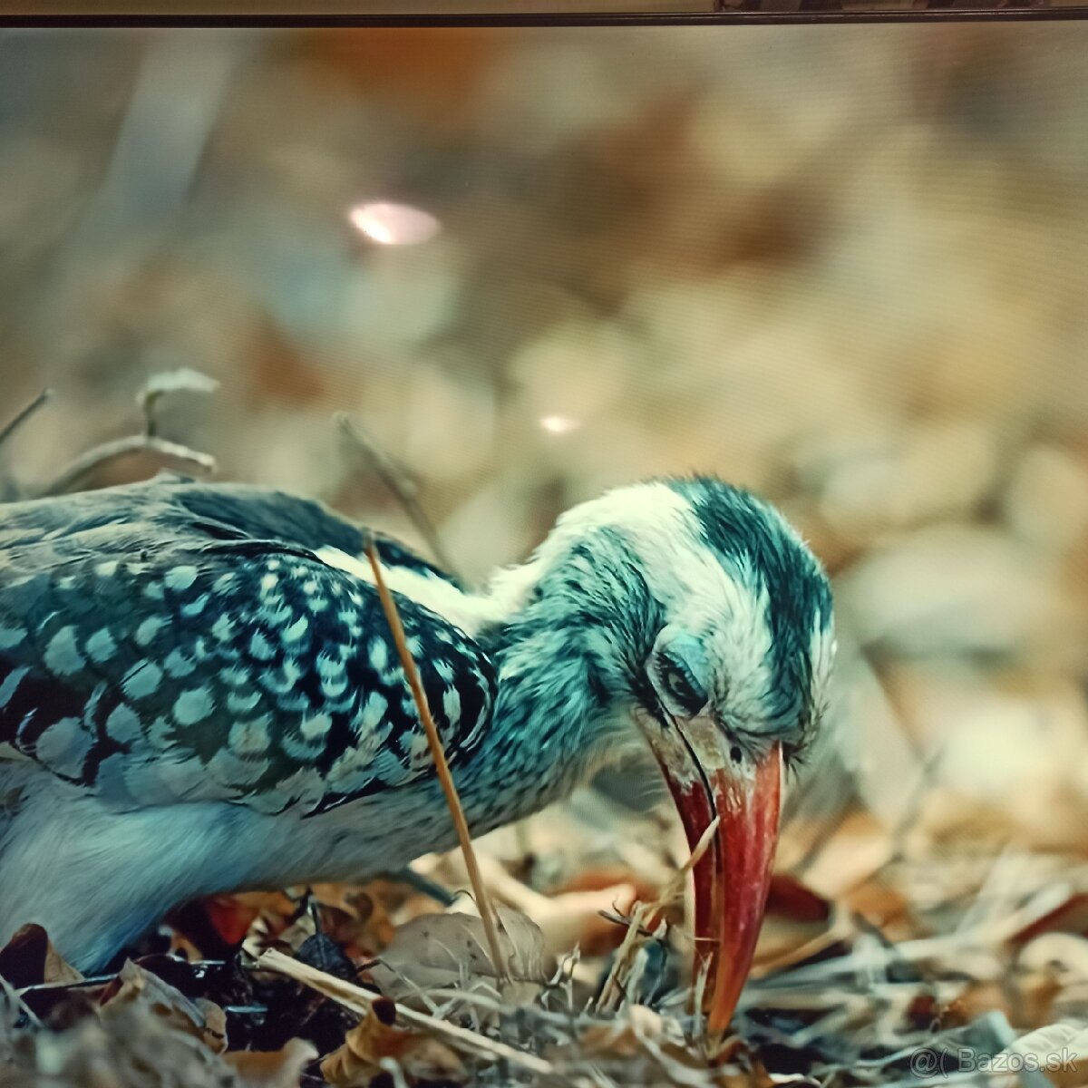 Samsung led tv (165cm)UE65CU7172U - 4