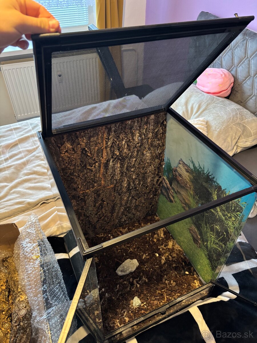 Terárium Repti Planet - 4