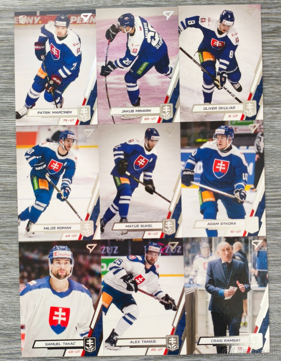 hokejové karty, sportzoo - 4