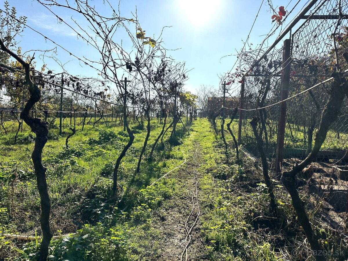 Na predaj dom s veľkým pozemkom 1216m2 Ivanka pri Dunaji - 4