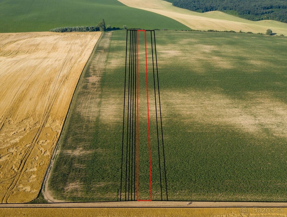 Pastuchov (Hlohovec) - 9.956 m2 ORNÁ PÔDA v komasácii - 4