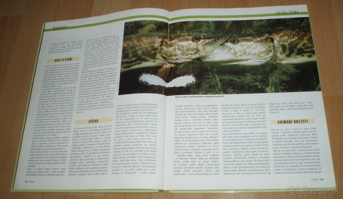 Štika – Kniha časopisu Blinker - 4