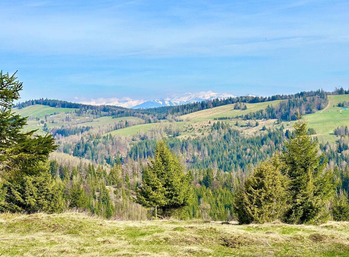 POZEMOK v Celosti 67 000m2, Potok, Elektrika, Stavebné Povol - 4