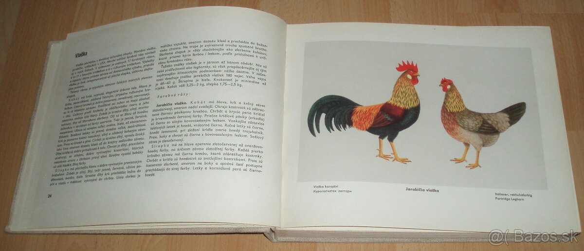 Atlas plemien hydiny - 4