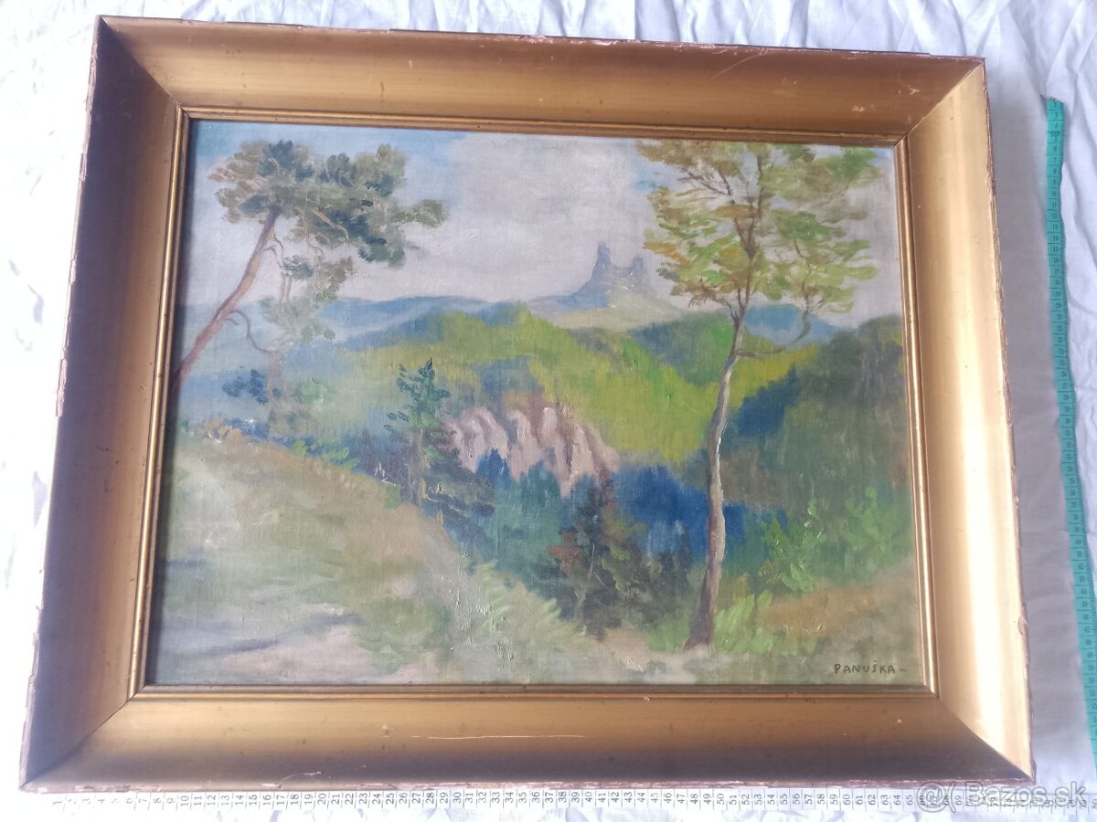 Obraz hory Panuška - 4