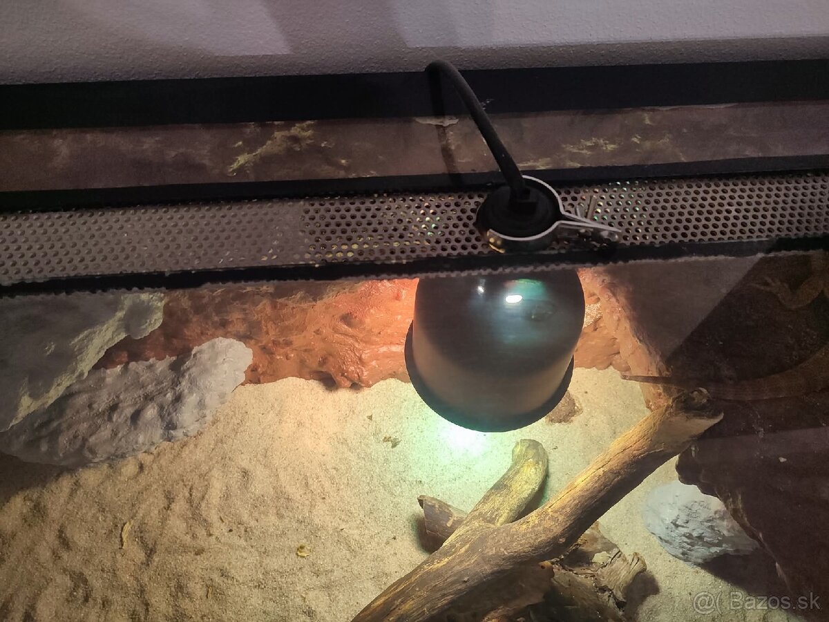 Predám terarium - 4