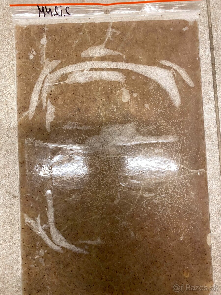 Artemie, discus mix, koretra, dafnie, mysis, hovězí srdce - 4