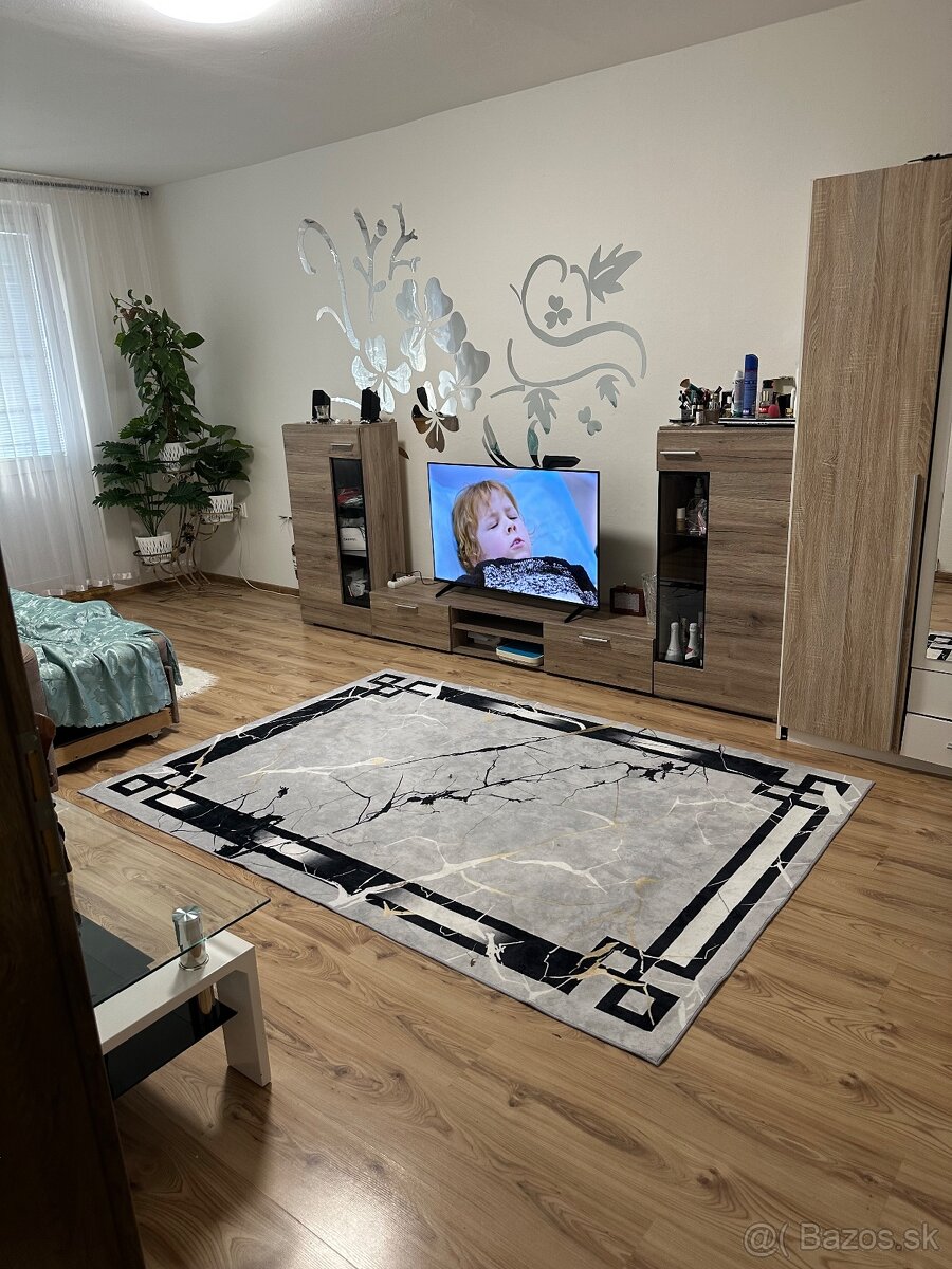 Krásny veľký byt - 4