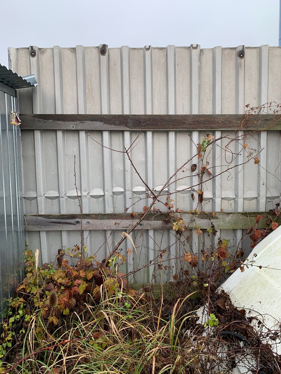 Predám trapezovy plech - 4