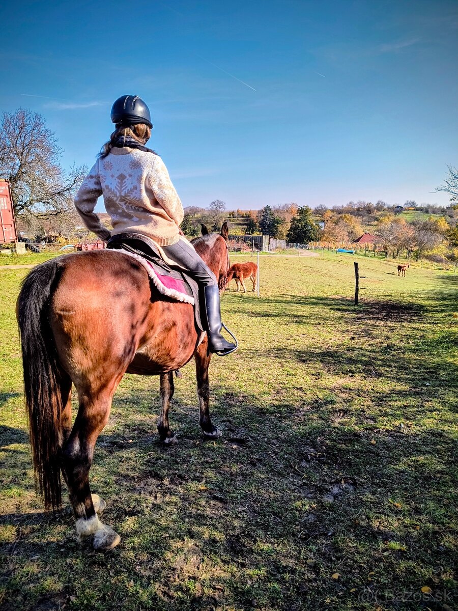 Športový pony s PP - 4