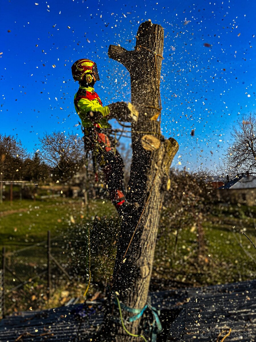 Výrub a ošetrovanie stromov - 4