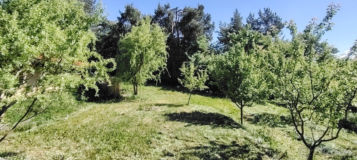 na samote u lesa - 4