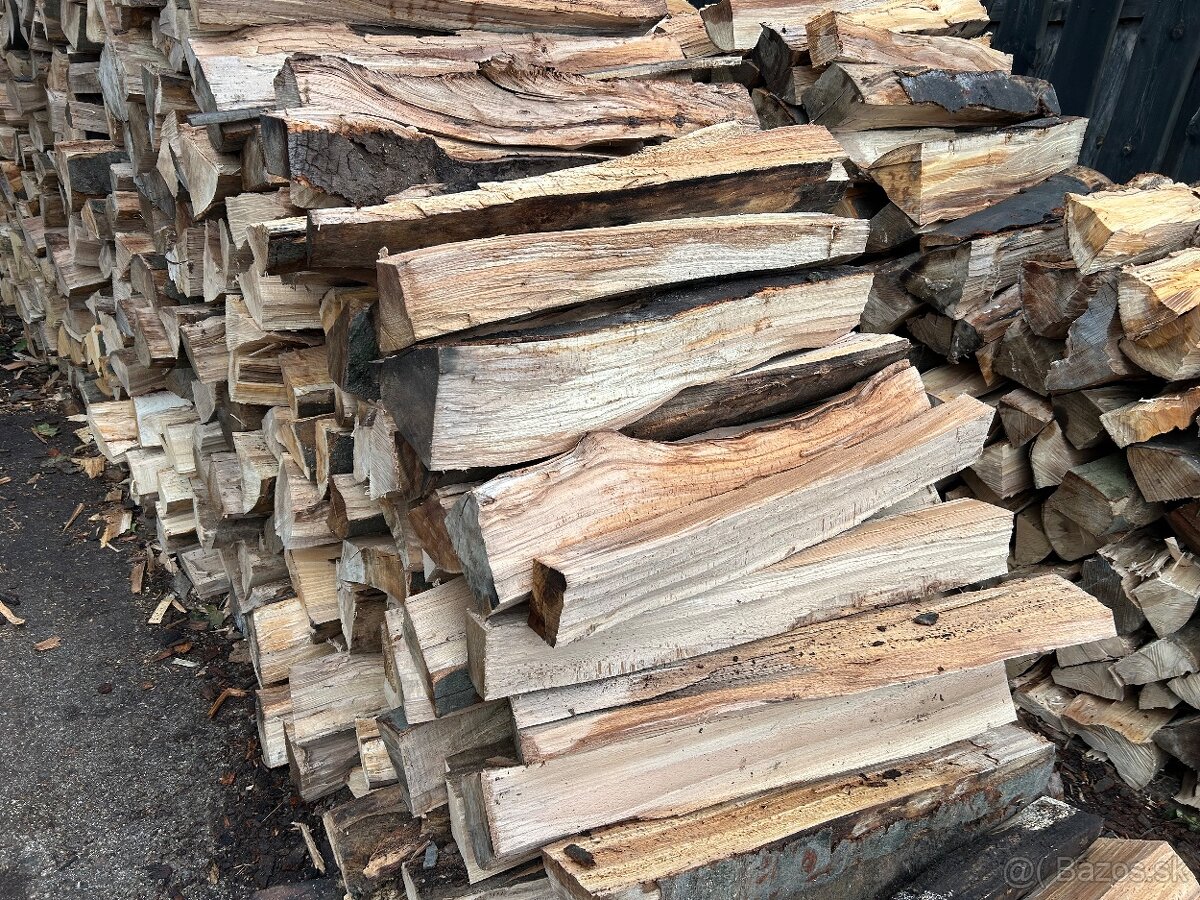 PALIVOVÉ DREVO - 4