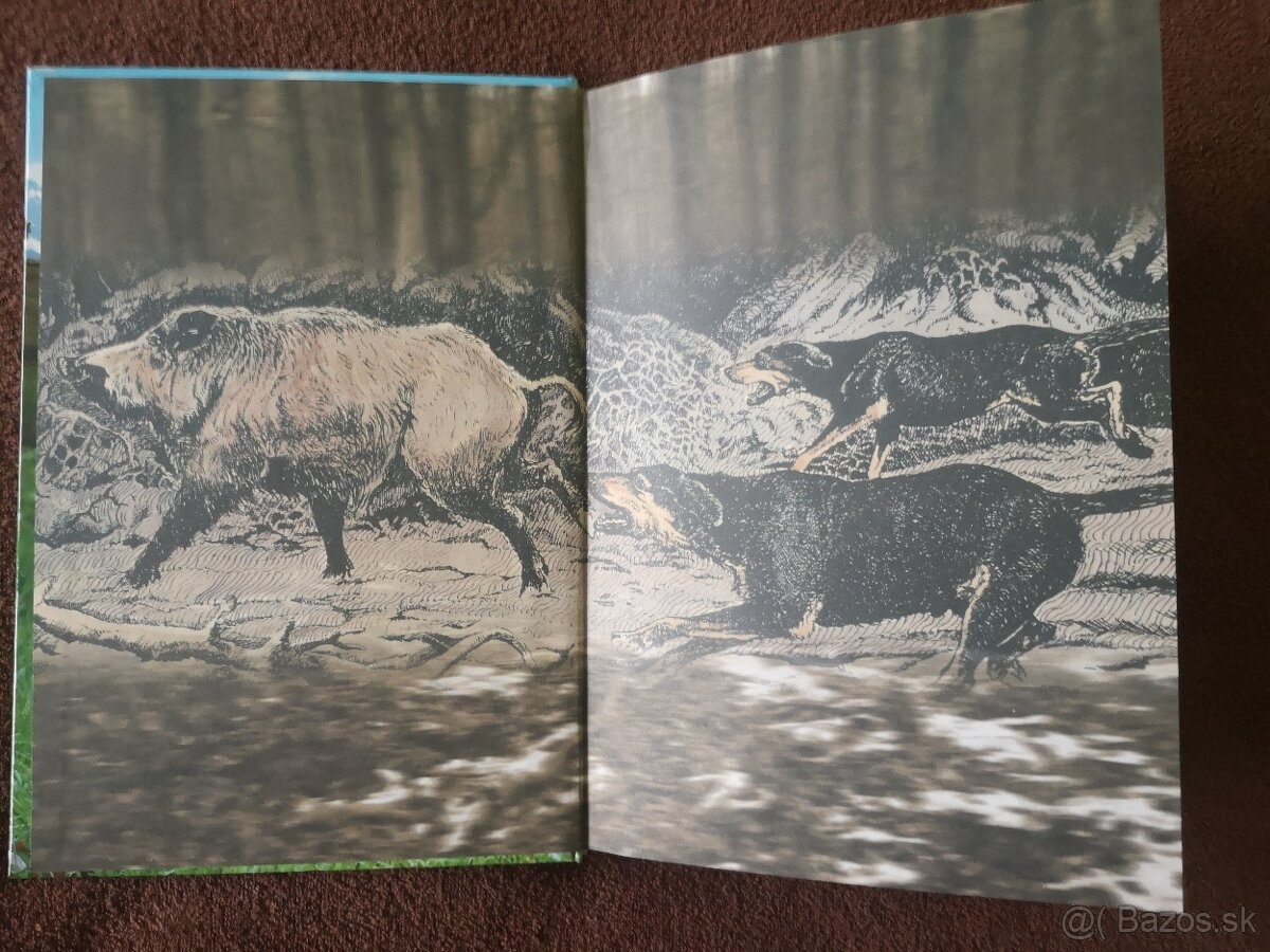 Kniha pre poľovníkov - 4