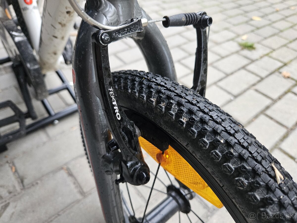 Author record 16" - 4