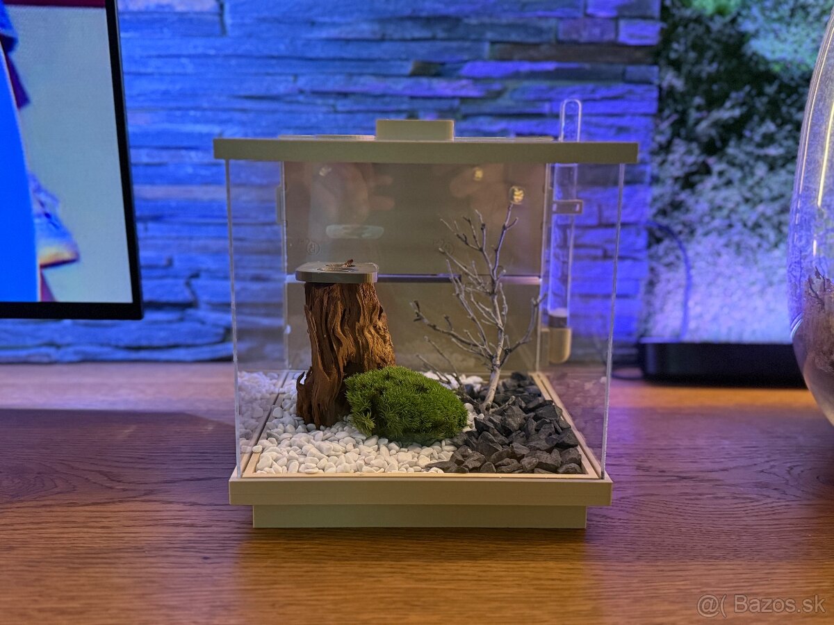 🐜 Predám formikárium s mravcami Camponotus nigrescens - 4