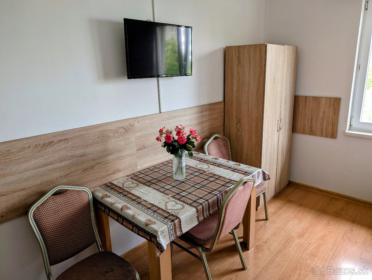 Ubytovanie Dolné Vestenice - 4