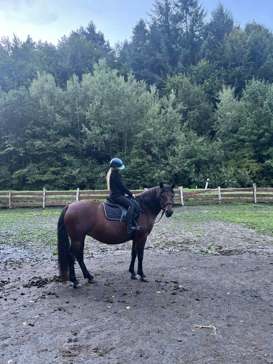 Kobyla na predaj - 4