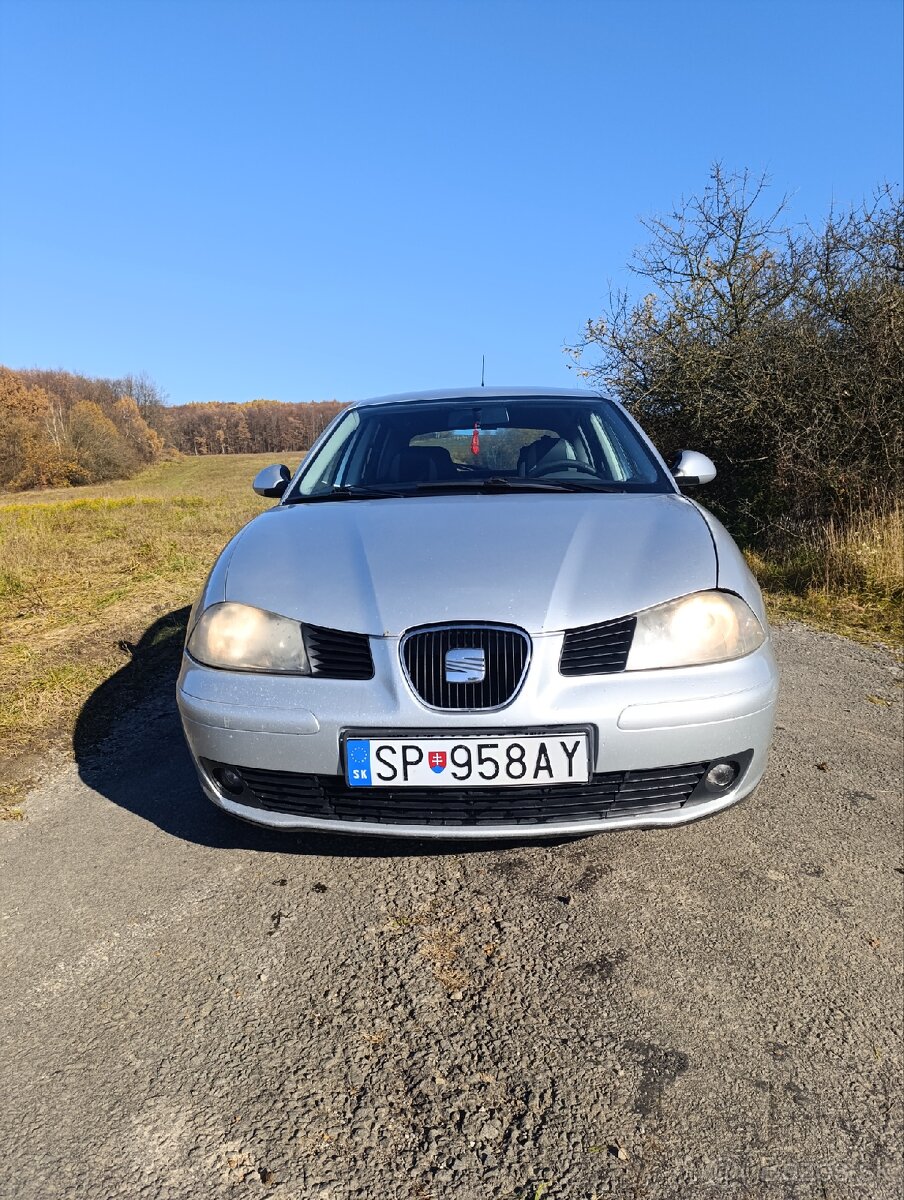 Seat Ibiza 6L - 4