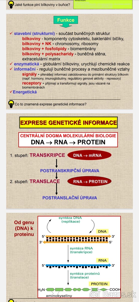 VETUNI - prípravný kurz, podklady na prijímačky - 4