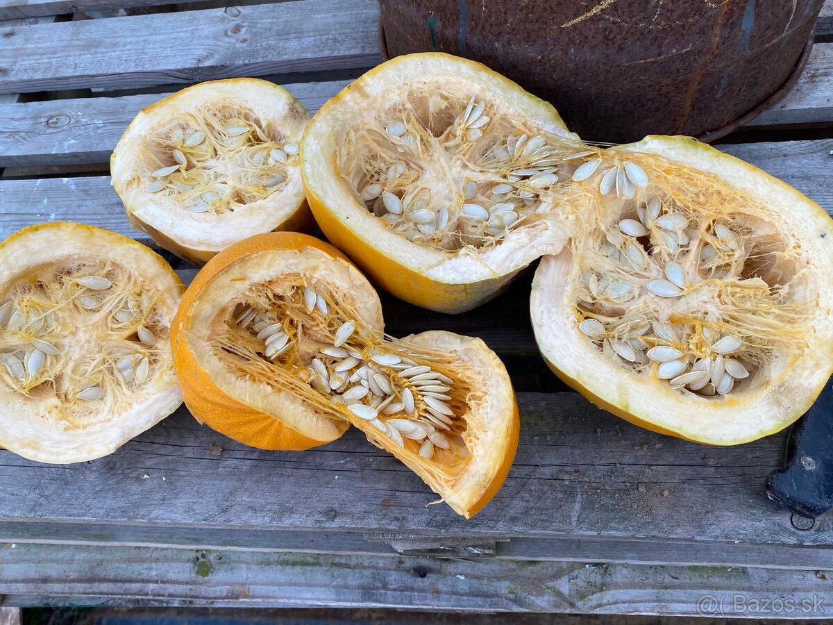 Bio tekvicové jadierka ručne vyberané - 4