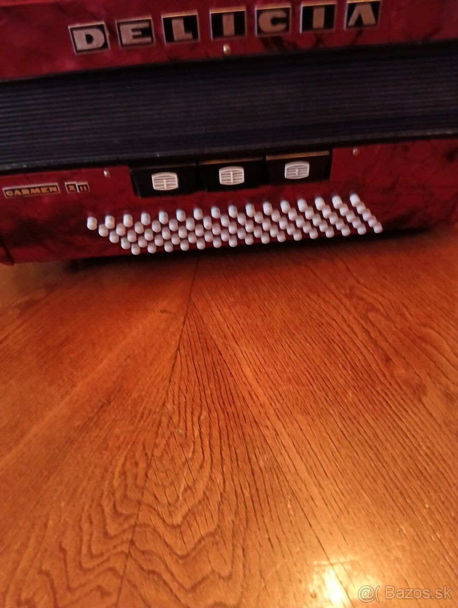 Harmonika Delicia Carmen XII - 4