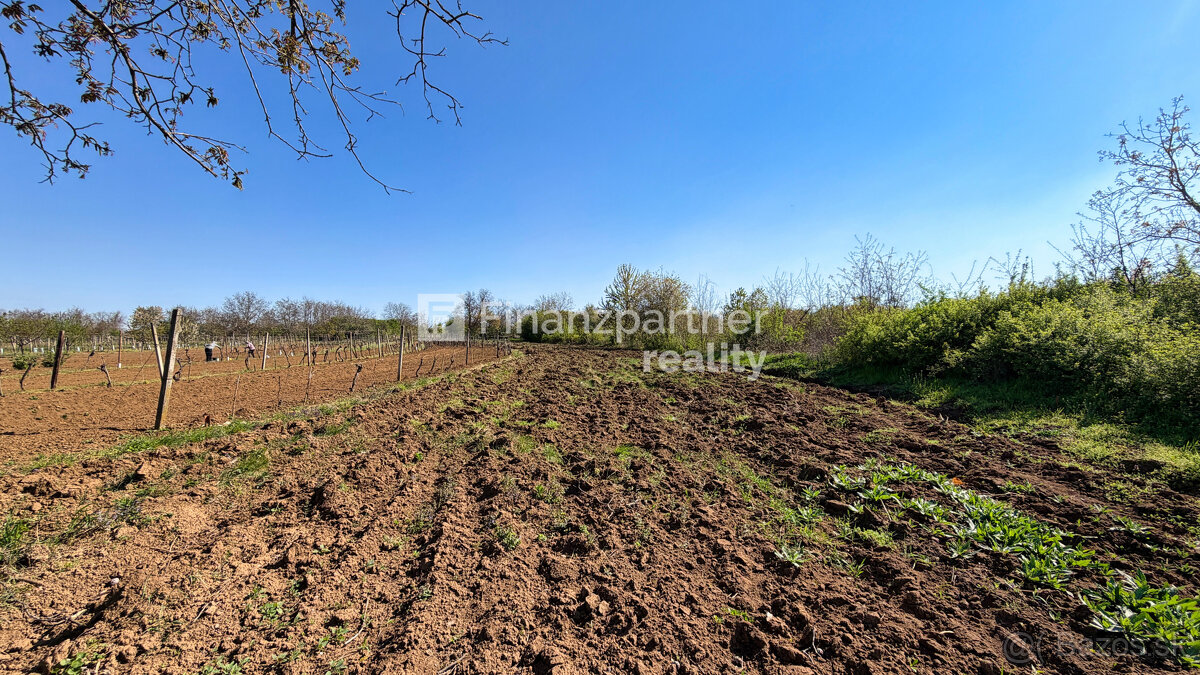 Záhrada 2190 m², Čechynce, Nitra - 4