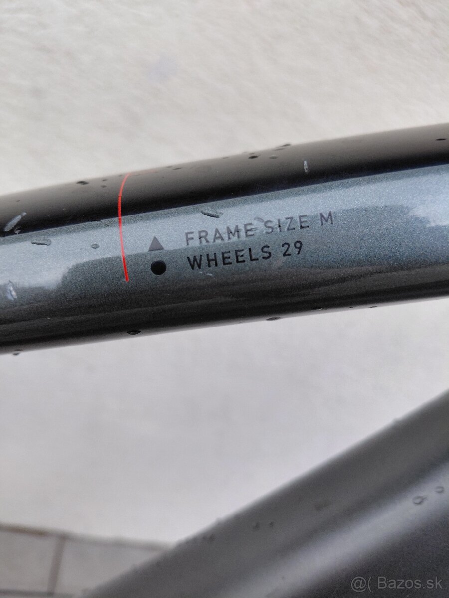 Cube Analog 2022 - 29" - 4