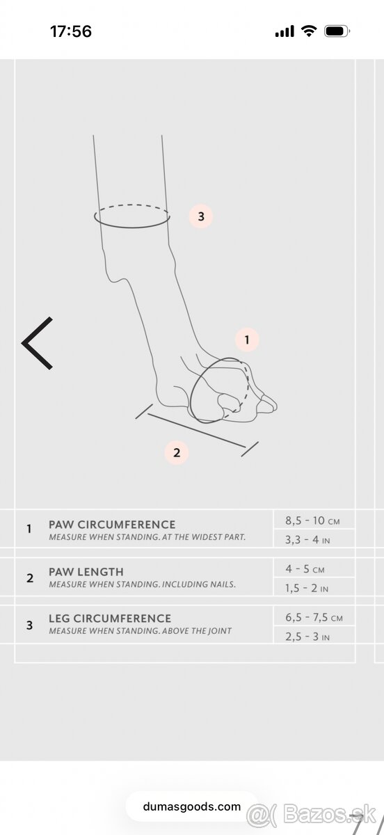 Zimne topanky taliansky chrtik - 4
