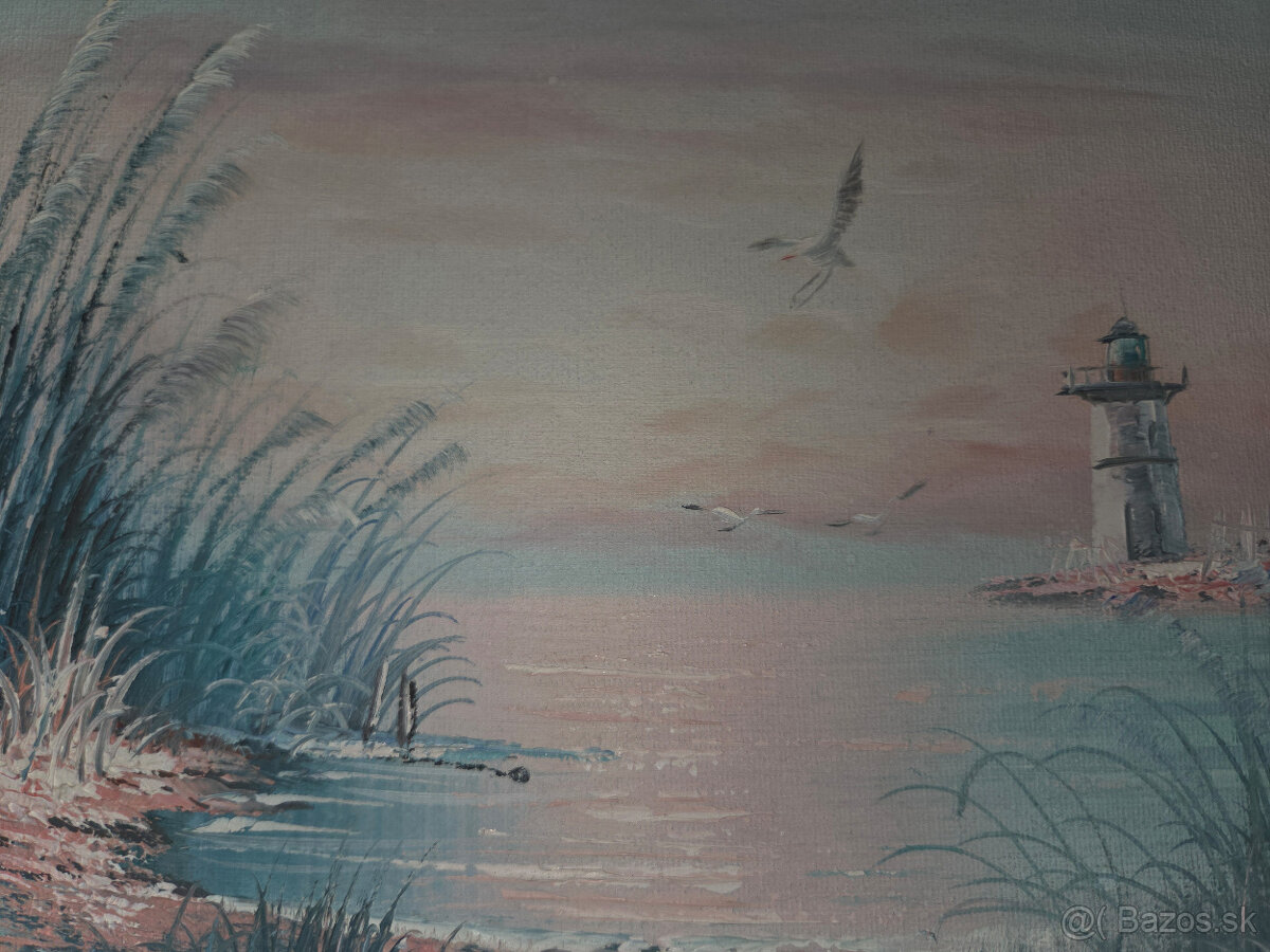 Obrazy Majäk a čajky - 4