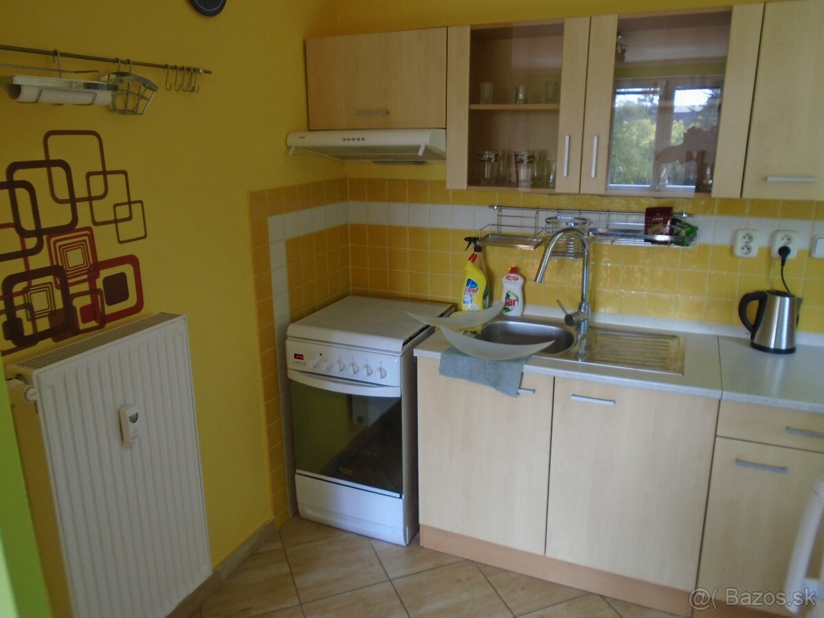 Prenájom 2 izbový byt - 4