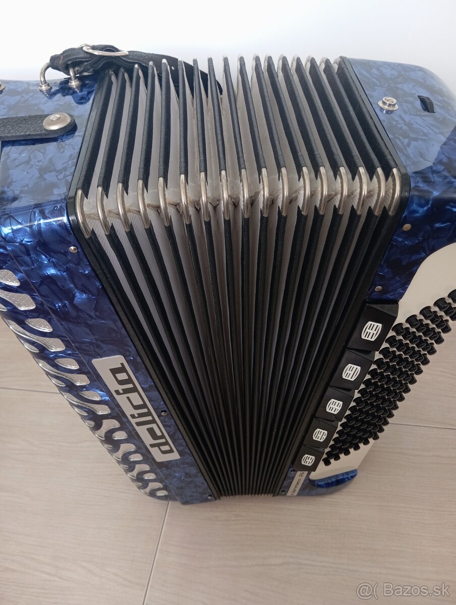 Akordeon delicia - 4